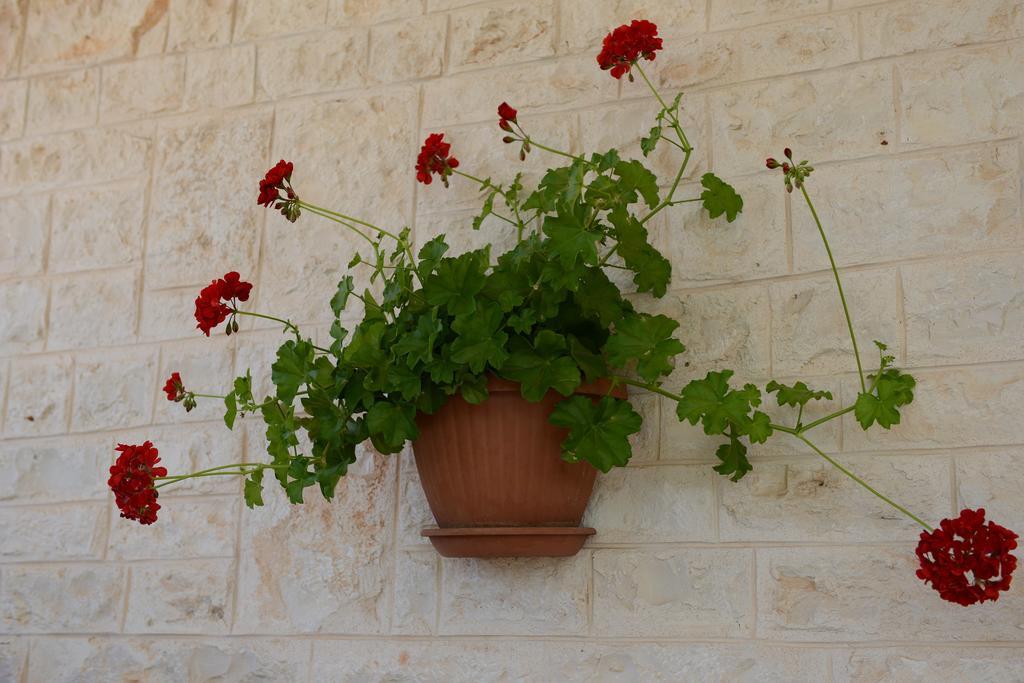 Apartmán Trulli Dal Conte Locorotondo Exteriér fotografie